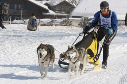Lenk 2012 SM